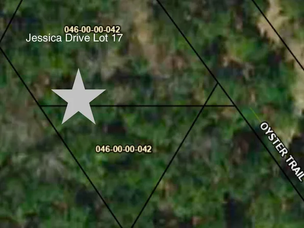 17 Jessica Dr, Williston, SC 29853