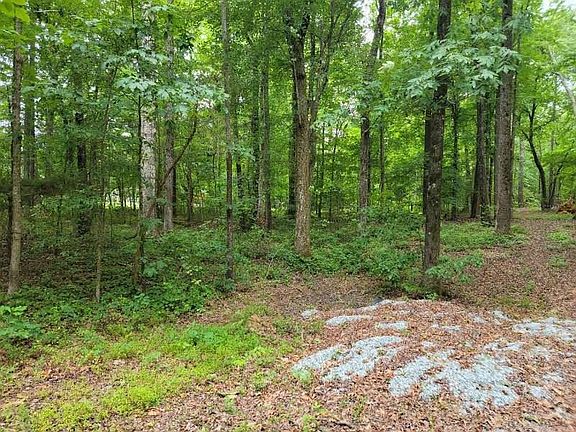 5th image of LOT 8 Serenity Ln Lot 8
