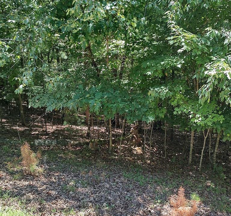 1st image of 853 Matrix Ln