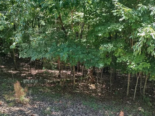 853 Matrix Ln, Ellijay, GA 30540
