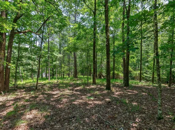 1380 Snug Harbor Dr, Greensboro, GA 30642