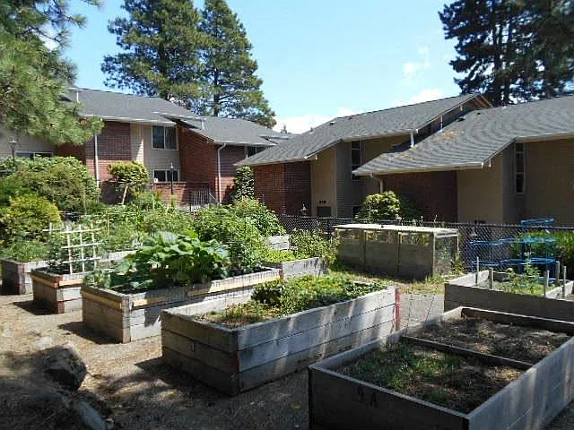 Kingway Apartments — Photo 16
