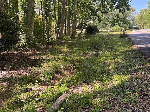 3rd image of 57 Turkey Rd
