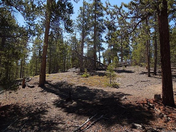 5th image of 180 Lodge Pole Dr