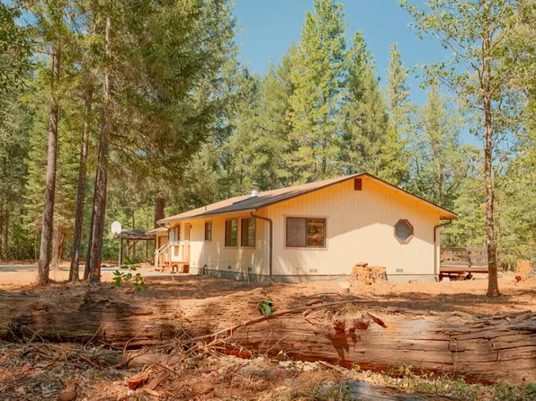 3781 Dick George Rd, Cave Junction, OR 97523