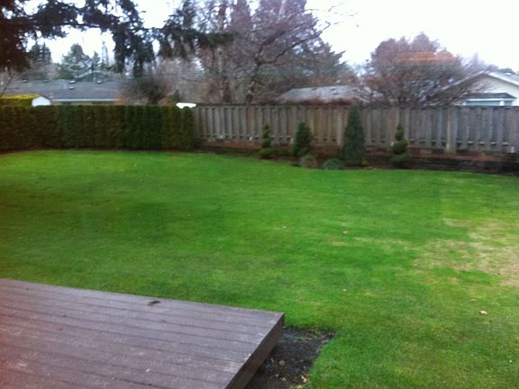 Back yard with Sprinkler Sys