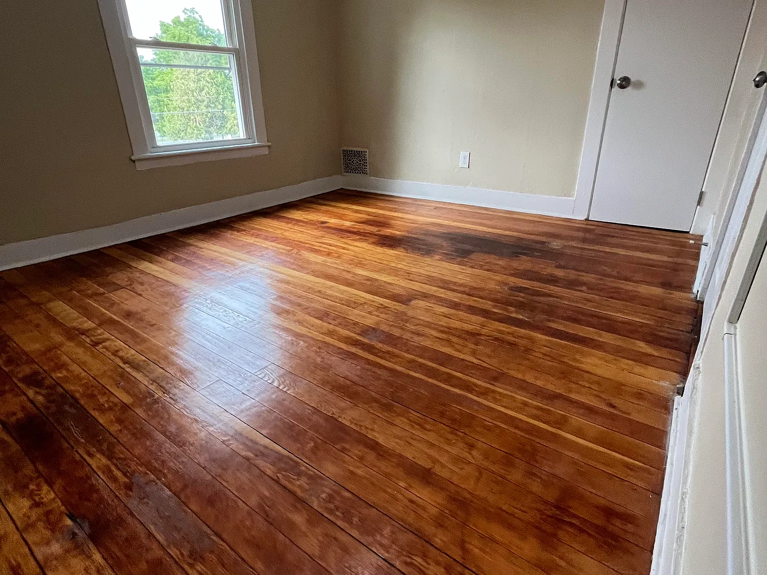 1 bed, 950 sqft, $1,175 — Photo 4