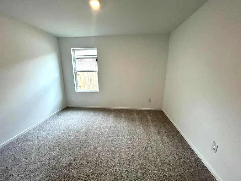 26807 Vanilla Pearls Ln — Photo 16