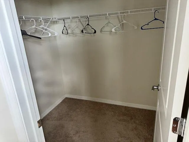 8309 Catria Ln — Photo 25