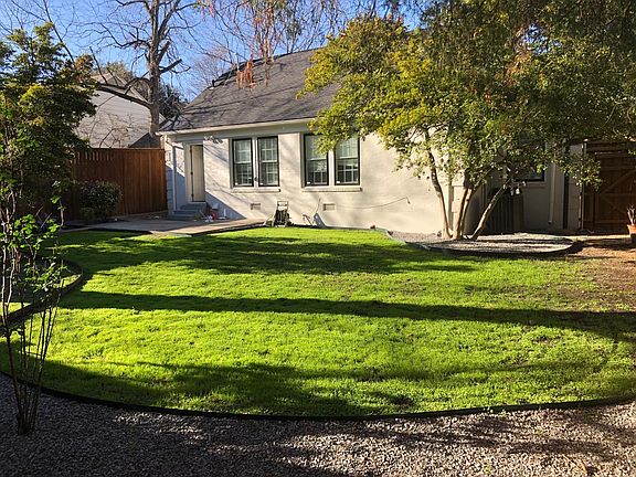 back yard