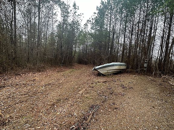 Left to creek/home site