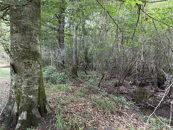 4th image of 0 Thigpen Rd
