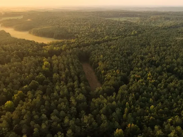 Moores Creek Rd, Maben, MS 39750