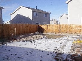 Backyard other side