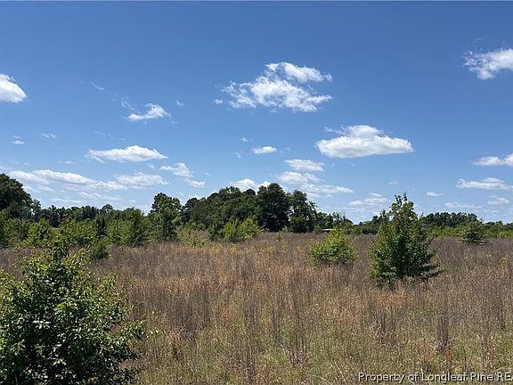 3rd image of Snipes Rd