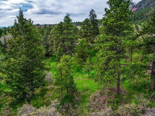 0 Buena Vista Avenue, Palmer Lake, CO 80133