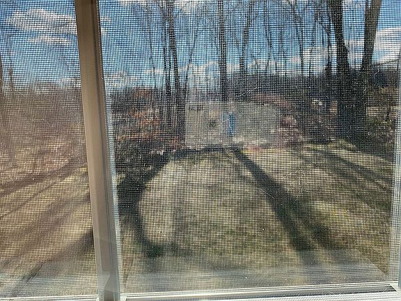 Yard borders on woods