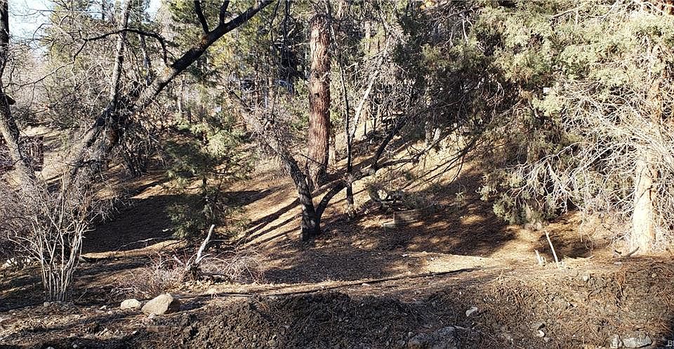 2nd image of 800 Villa Grove Ave