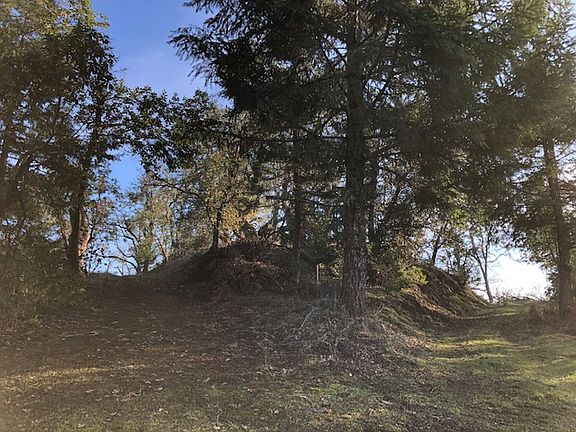 5th image of 1207 Braunda Dr