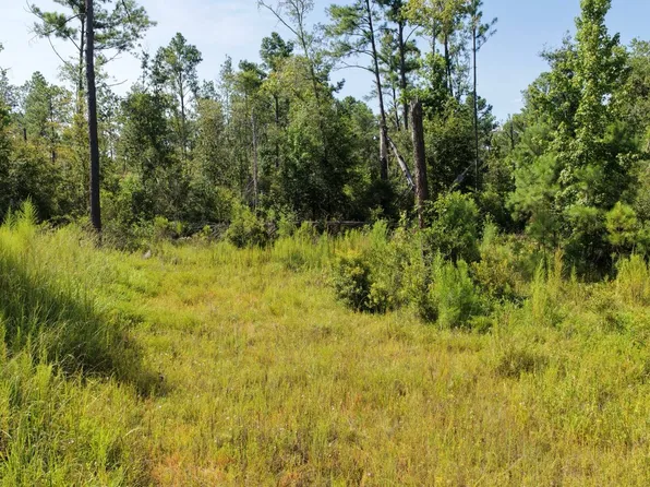 Vacant Sw Tower Rd, Madison, FL 32340