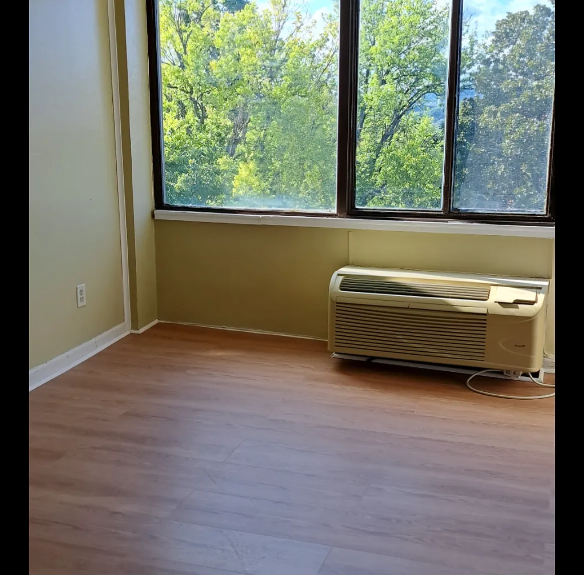 Studio, 336 sqft, $990 — Photo 2