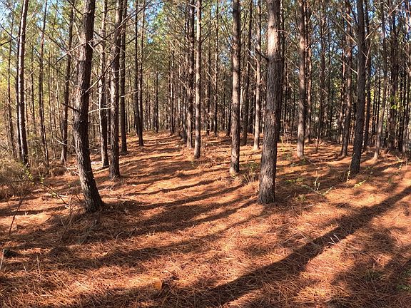 2nd image of 3020 McGee Rd Lot 22