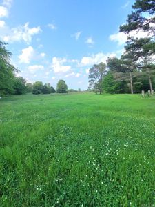 Jackson 6, Pleasant Plains, AR, 72568