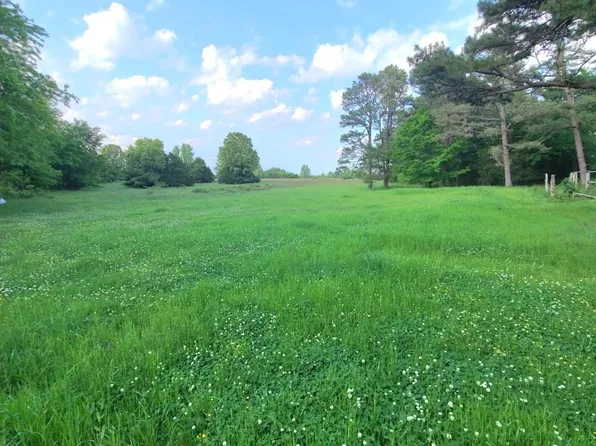 Jackson 6, Pleasant Plains, AR 72568