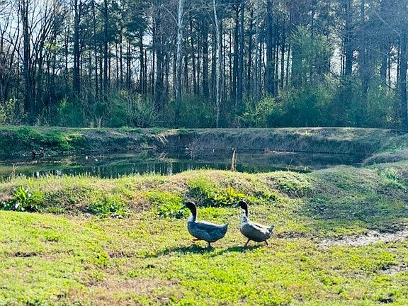 3rd image of 10740 Alpha Rd