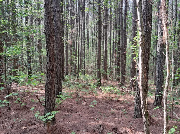 LOT 14 Airport Rd, Rockwood, TN 37854