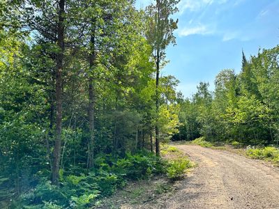On Highway 45, Conover, WI, 54519