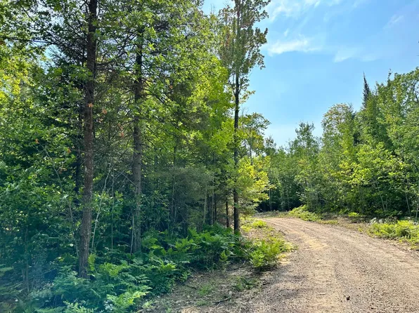On Highway 45, Conover, WI 54519