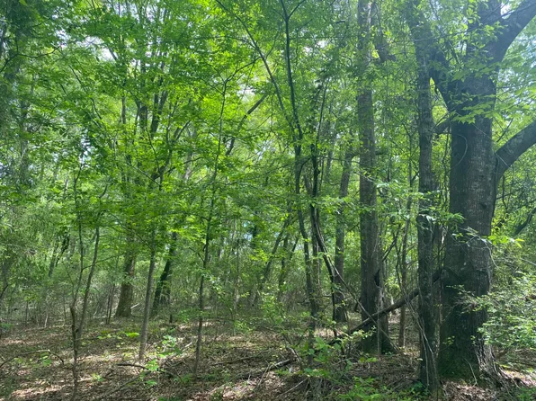 0 W Hickory Grove Rd, Lapine, AL 36046