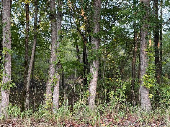3rd image of Black River Rd