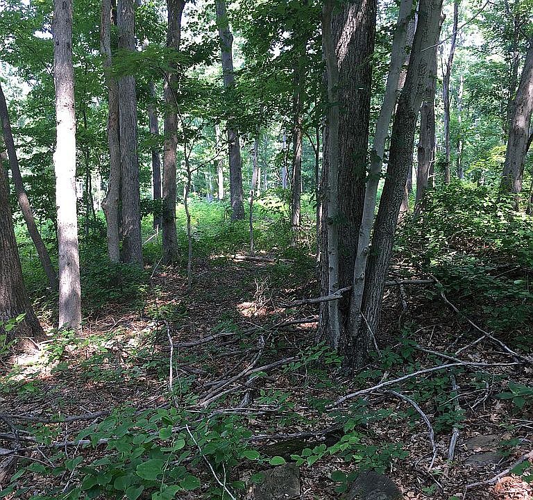 View from Rhinewood Ln