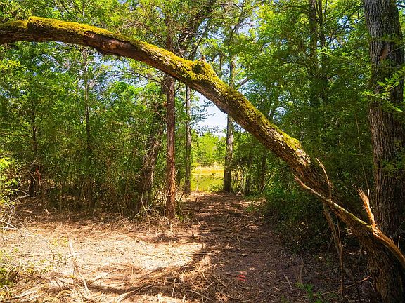 4th image of 5131 N State Highway 6 Lot 21