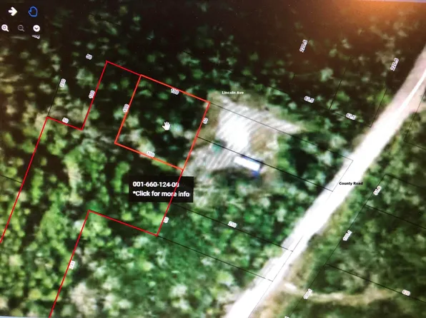 660121124 Lincoln Ave, Pointe Aux Pins, MI 49775