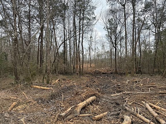 2nd image of 0 McNeill Steephollow Rd