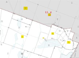 85 Lenape Lake Road, Livingston Manor, NY 12758