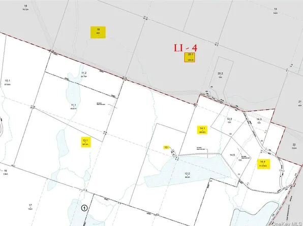 85 Lenape Lake Road, Livingston Manor, NY 12758