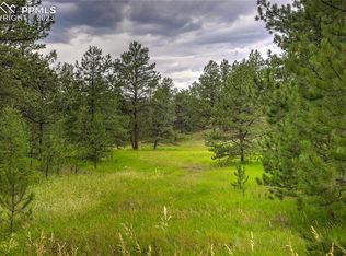 21 Teller Cir, Florissant, CO 80816