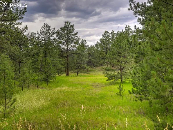 21 Teller Cir, Florissant, CO 80816