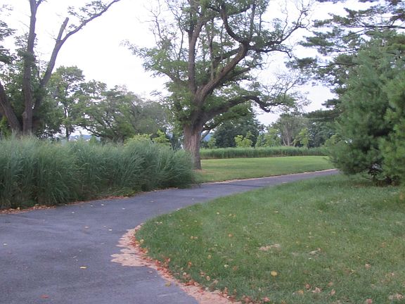 Distance to the park