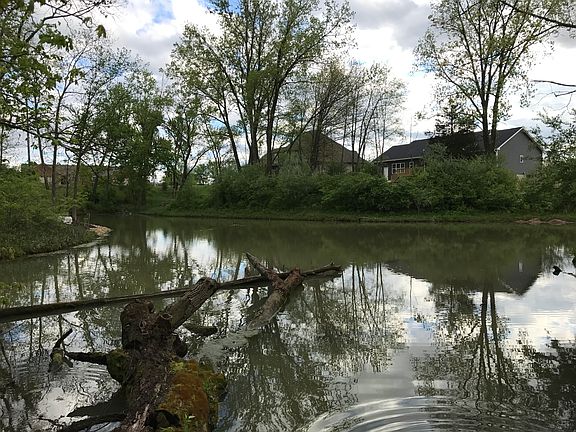 Small pond in your back yard