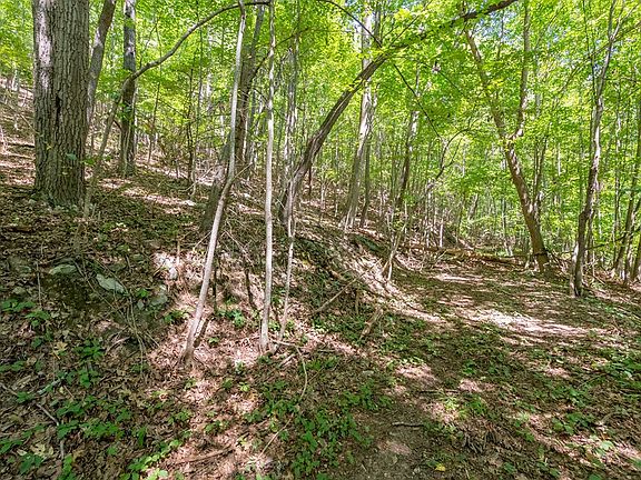 4th image of LOT 28 Sherwood Forest Dr