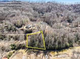 5 Spruce Flats Rd, Maggie Valley, NC 28751