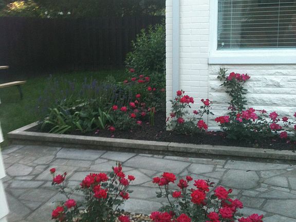 5th image of 400 S Roosevelt Dr