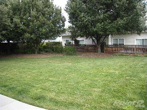 5. Common Yard Area
