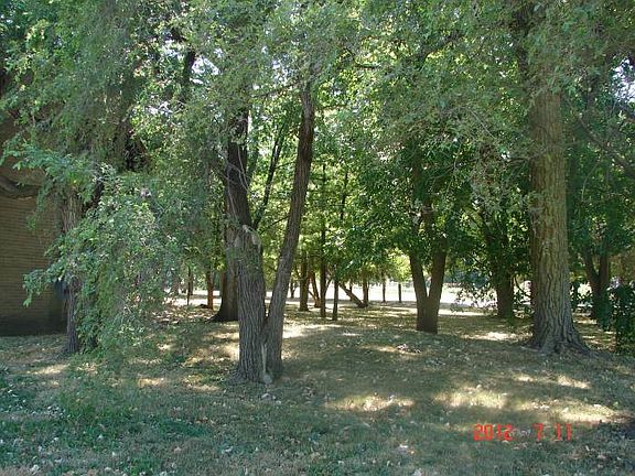 Treed lot