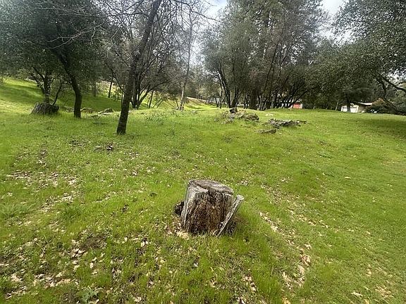 3rd image of 13095 Fox Ct